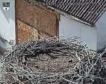 Capi_Dubne_20260824_155503.jpg