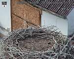 Capi_Dubne_20260824_160503.jpg