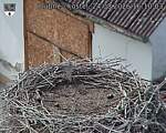 Capi_Dubne_20260824_161003.jpg