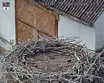 Capi_Dubne_20260824_161503.jpg