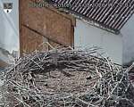 Capi_Dubne_20260824_162003.jpg