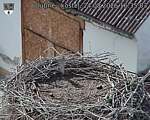 Capi_Dubne_20260824_163503.jpg