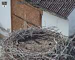 Capi_Dubne_20260824_164003.jpg