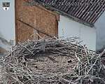 Capi_Dubne_20260824_165003.jpg