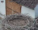 Capi_Dubne_20260824_165503.jpg