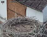 Capi_Dubne_20260824_170004.jpg