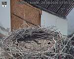 Capi_Dubne_20260824_170503.jpg