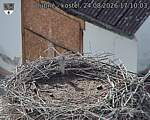Capi_Dubne_20260824_171003.jpg