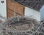 Capi_Dubne_20260824_174503.jpg