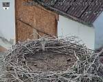 Capi_Dubne_20260824_180003.jpg