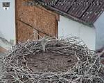Capi_Dubne_20260824_181503.jpg