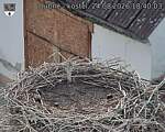 Capi_Dubne_20260824_184003.jpg