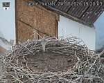 Capi_Dubne_20260824_192003.jpg