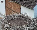 Capi_Dubne_20260824_193505.jpg