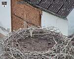 Capi_Dubne_20260824_200503.jpg