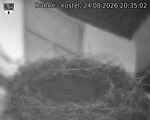 Capi_Dubne_20260824_203502.jpg