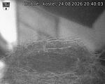 Capi_Dubne_20260824_204003.jpg