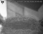 Capi_Dubne_20260824_204502.jpg