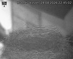 Capi_Dubne_20260824_224502.jpg
