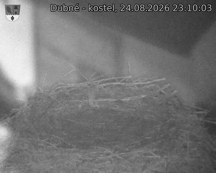 preload