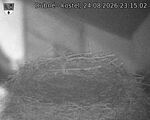 Capi_Dubne_20260824_231502.jpg
