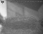 Capi_Dubne_20260824_232003.jpg