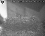 Capi_Dubne_20260825_000004.jpg