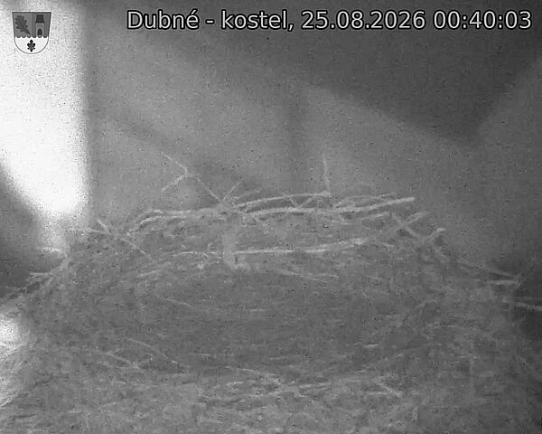 preload