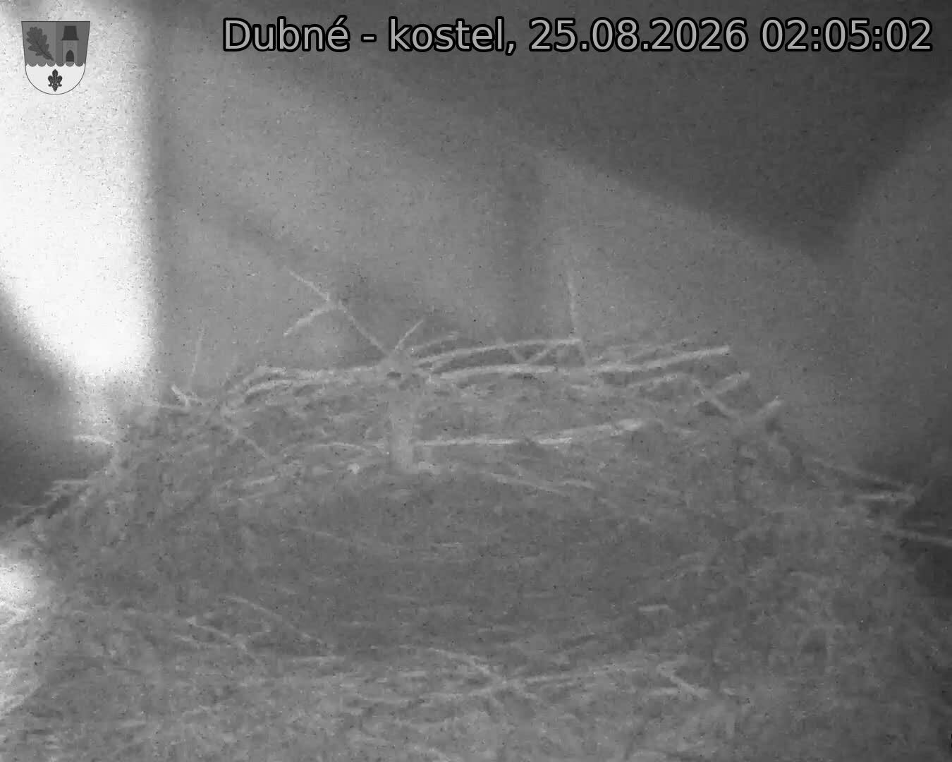 Capi_Dubne_20260825_020502.jpg (1350&nbsp;x&nbsp;1080)