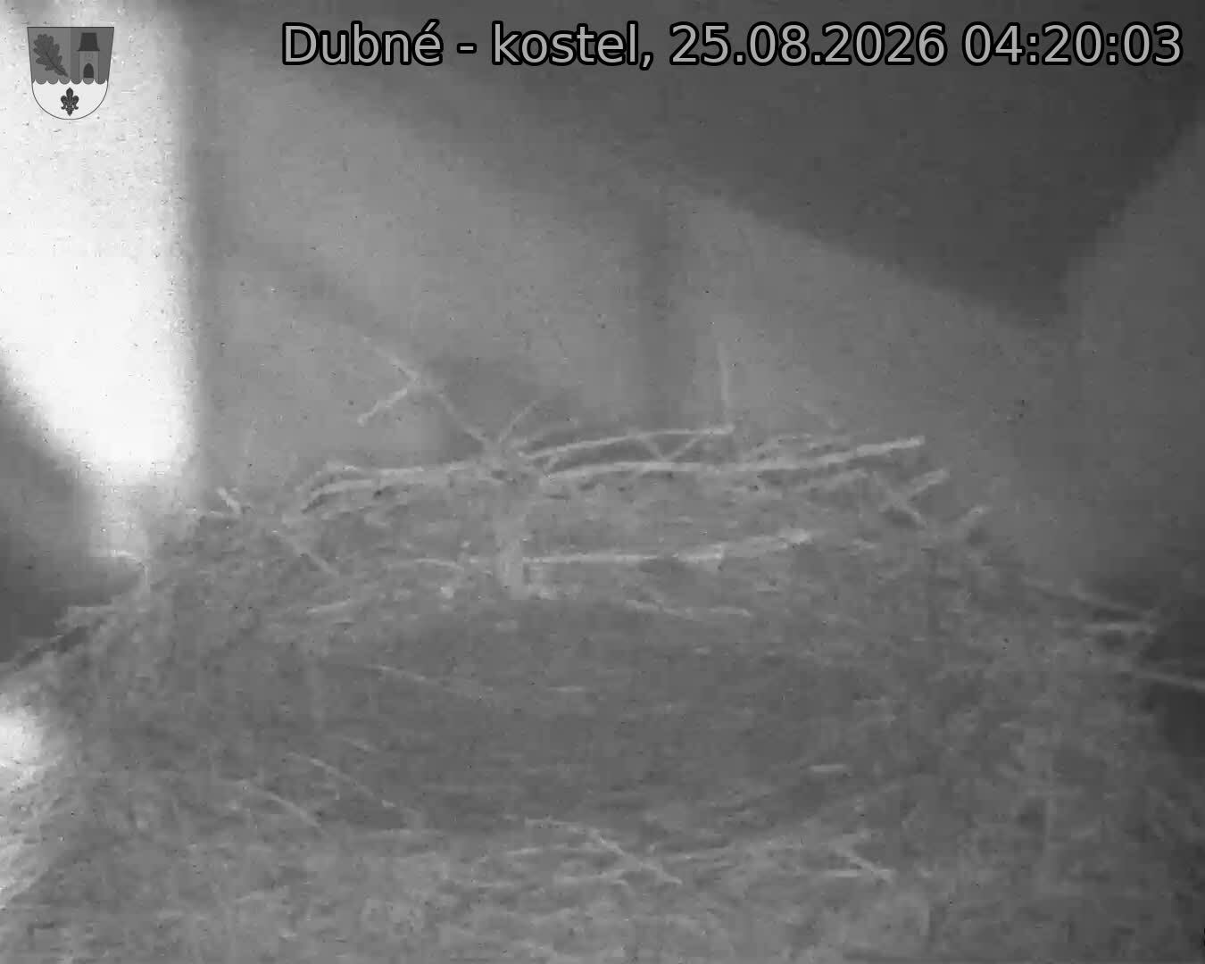 Capi_Dubne_20260825_042003.jpg (1350&nbsp;x&nbsp;1080)