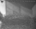 Capi_Dubne_20260825_050503.jpg