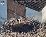 Capi_Dubne_20260825_070003.jpg