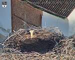 Capi_Dubne_20260825_070503.jpg