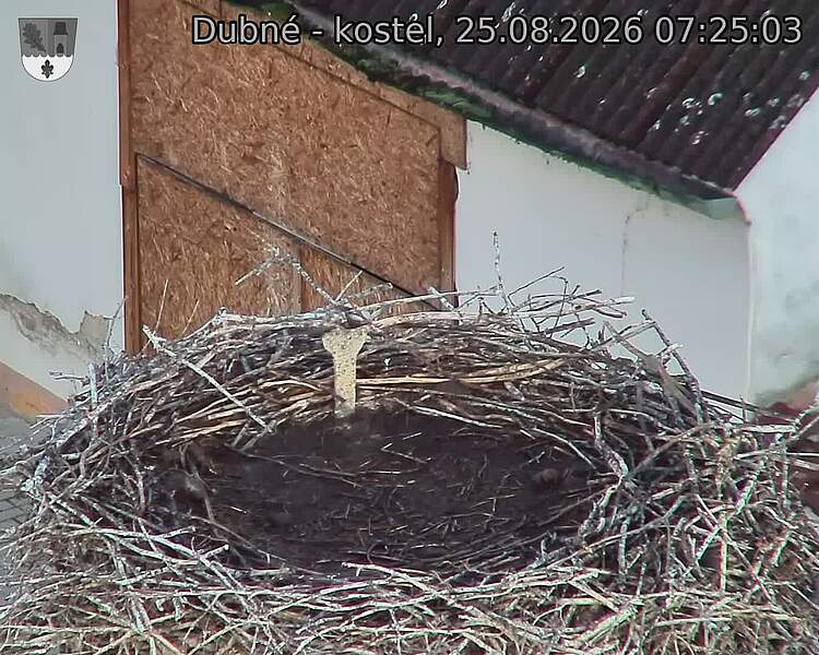 Capi_Dubne_20260825_072503.jpg (1350&nbsp;x&nbsp;1080)