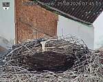 Capi_Dubne_20260825_074503.jpg