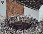 Capi_Dubne_20260825_075503.jpg