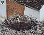 Capi_Dubne_20260825_080503.jpg