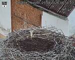 Capi_Dubne_20260825_085003.jpg