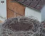 Capi_Dubne_20260825_103503.jpg