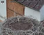 Capi_Dubne_20260825_115003.jpg