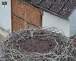 Capi_Dubne_20260825_115503.jpg