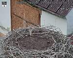 Capi_Dubne_20260825_120003.jpg