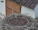 Capi_Dubne_20260825_121003.jpg