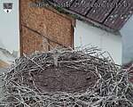 Capi_Dubne_20260825_121503.jpg