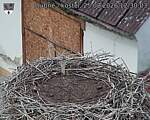 Capi_Dubne_20260825_123004.jpg