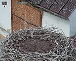 Capi_Dubne_20260825_123503.jpg