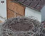 Capi_Dubne_20260825_130003.jpg