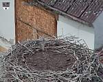 Capi_Dubne_20260825_130504.jpg