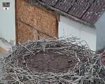 Capi_Dubne_20260825_131003.jpg