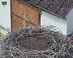 Capi_Dubne_20260825_133003.jpg